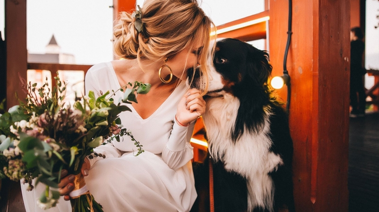 dog-weddings-montana-2